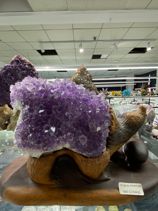 Uruguay Amethyst with Carving Wooden Stand