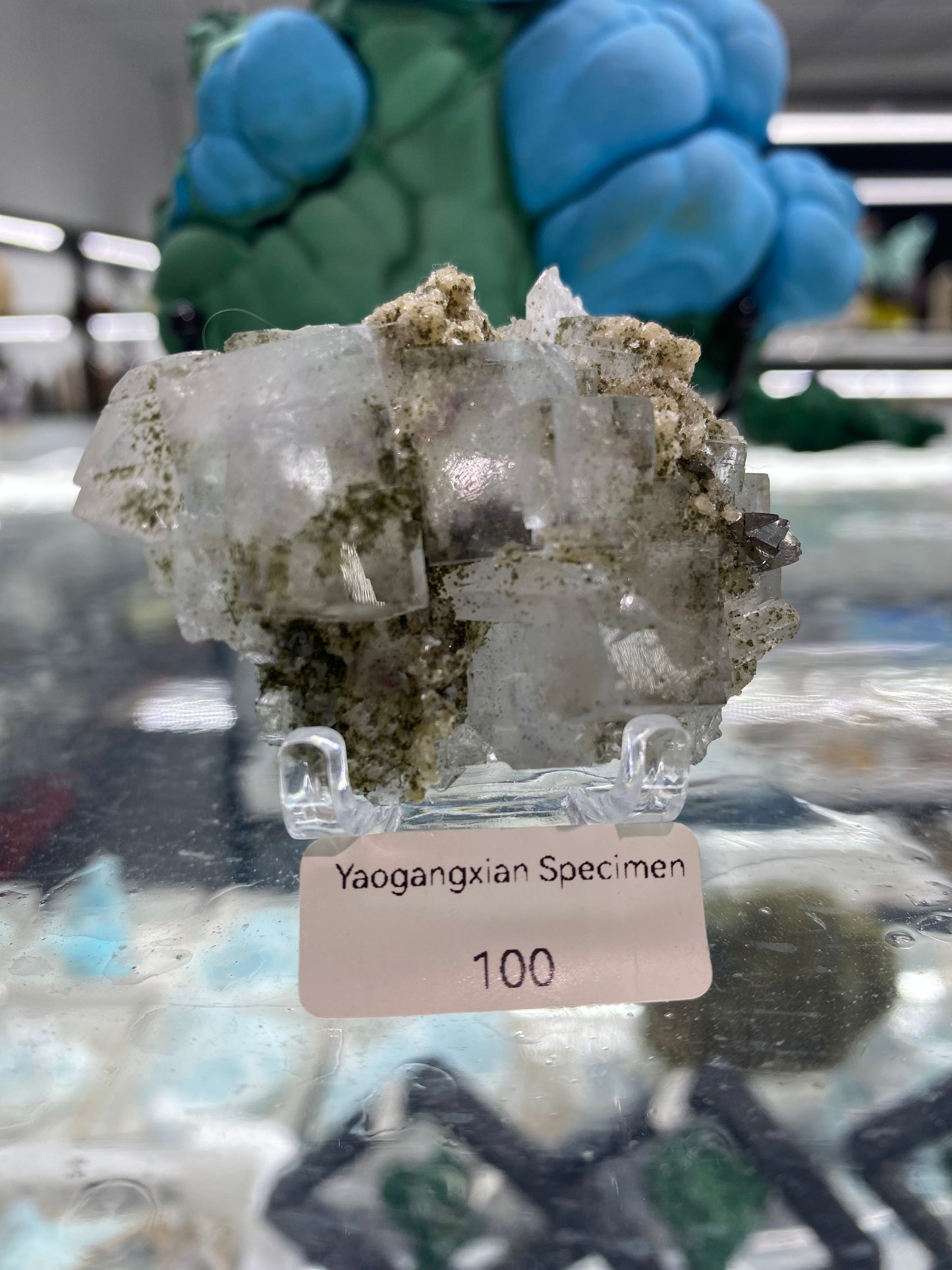 Yaogangxian Specimen