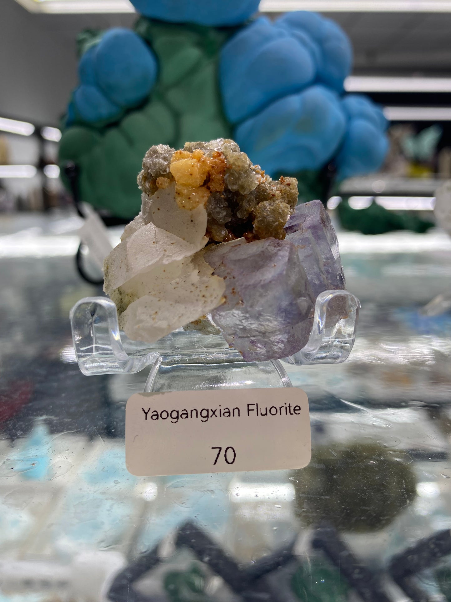 Yaogangxian Specimen