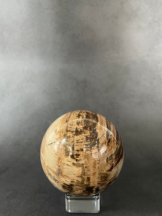 Petrified Wood Sphere