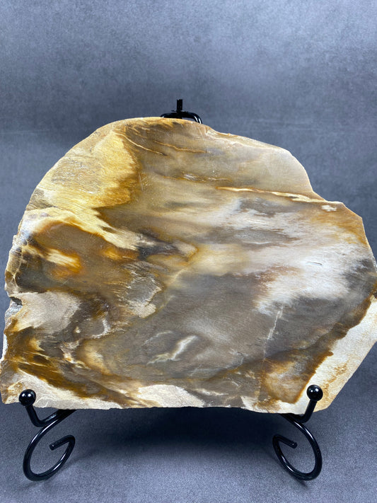 Petrified Wood Slab