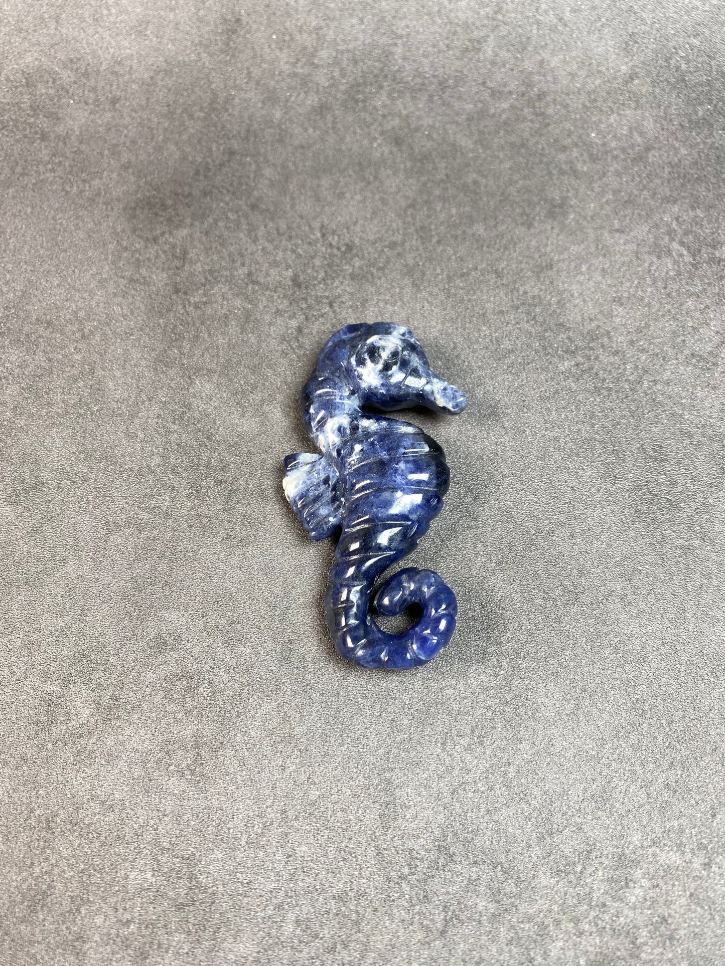 Small Seahorse Carvings--ONLY 10 Dollars Each