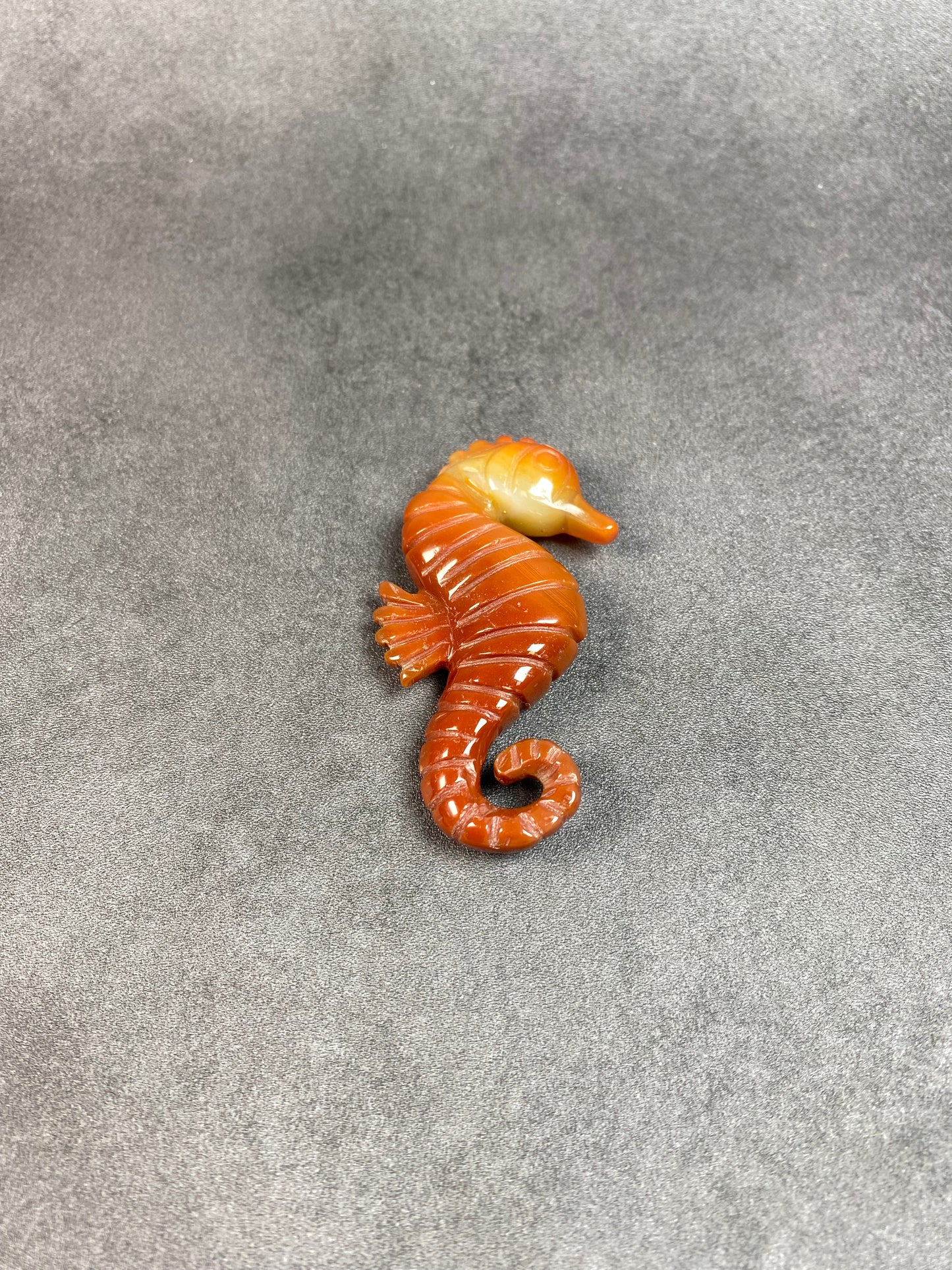 Small Seahorse Carvings--ONLY 10 Dollars Each