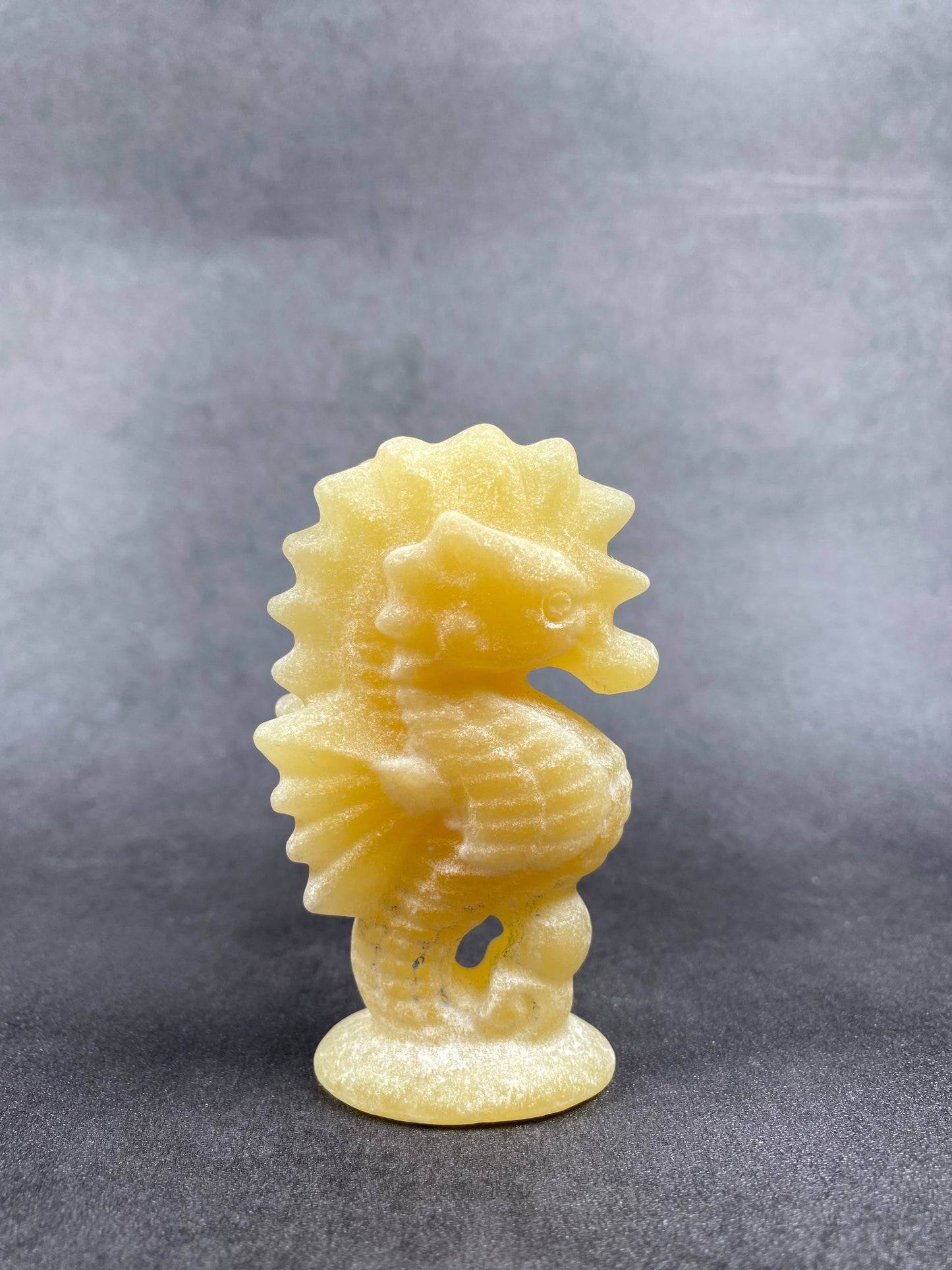 Small Seahorse Carvings--ONLY 10 Dollars Each