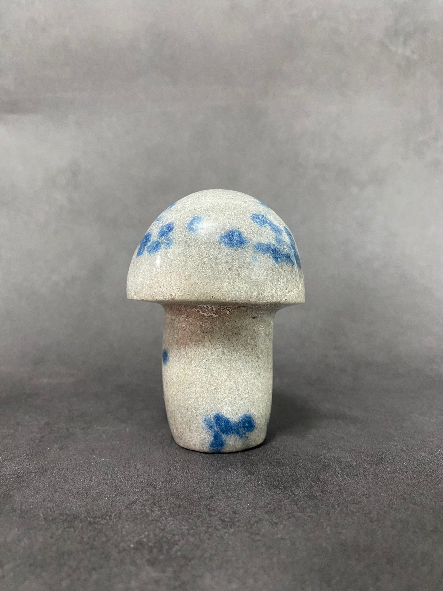 K2 Mushroom