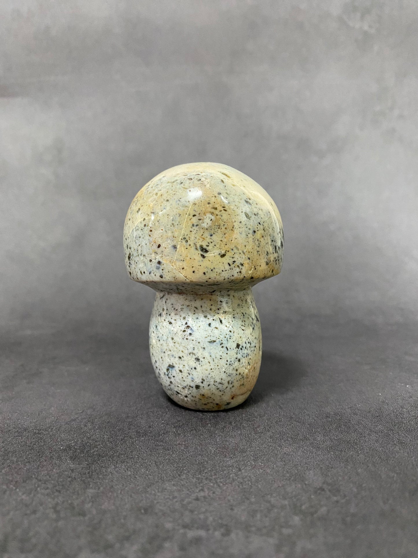 Ocean Jasper Mushroom