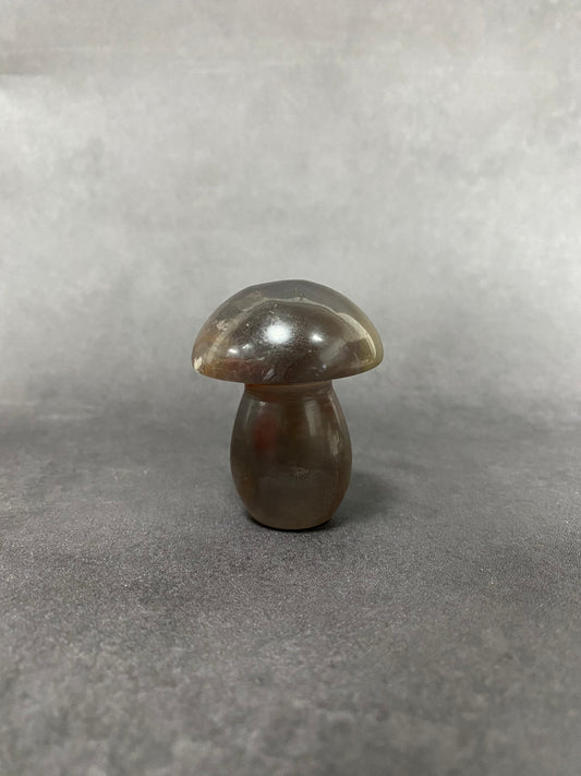 Black Fluorite Mushroom