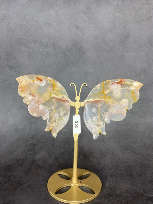 Yellow Flower Agate Wing