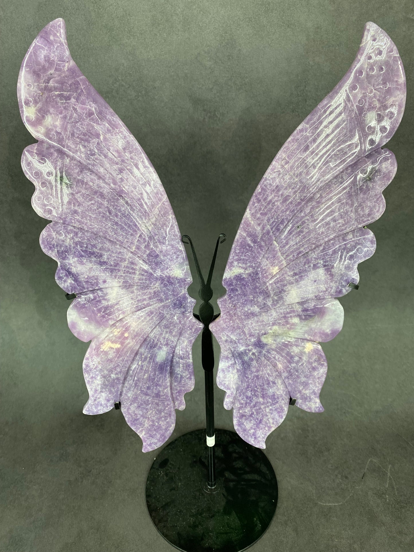 Purple Mica Wing